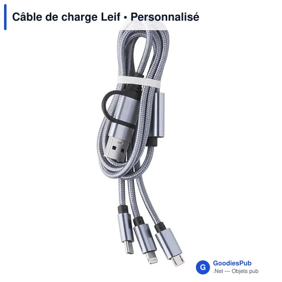 Câble de charge Leif - Image 5