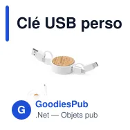 Clé USB personnalisable avec logo pour entreprises - Miniature 1