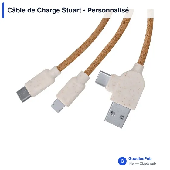 Câble de Charge Stuart - Image 4