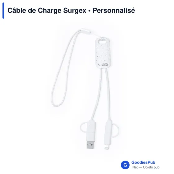 Câble de Charge Surgex - Image 2