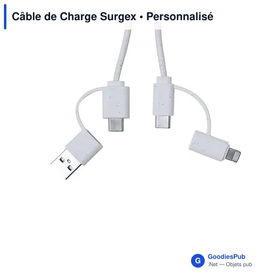 Câble de Charge Surgex - Image 4