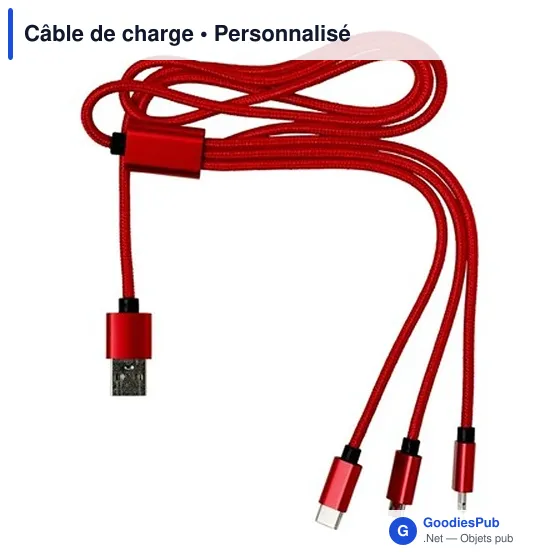 Câble de charge personnalisable avec logo - ZKV970 - Image 2