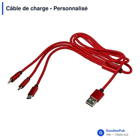 Câble de charge personnalisable avec logo - ZKV970 - Image 4