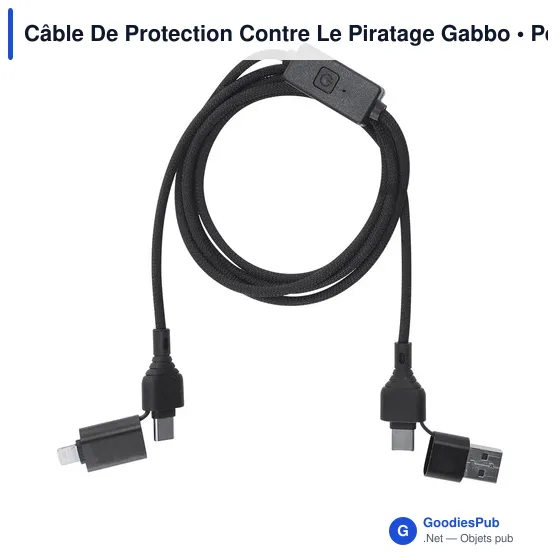 Câble De Protection Contre Le Piratage Gabbo - Image 2
