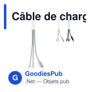 Câble de charge 2 en 1 personnalisable USB-C et Lightning avec logo - Alu - Miniature 1