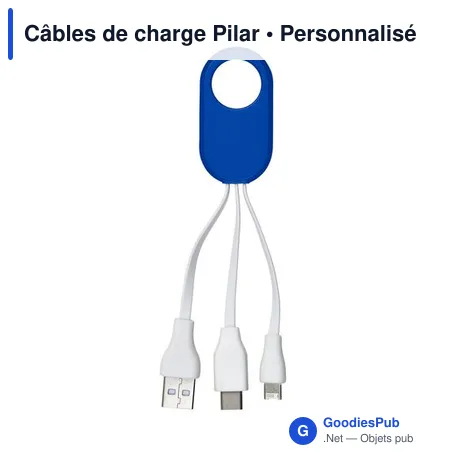 Câbles de charge Pilar