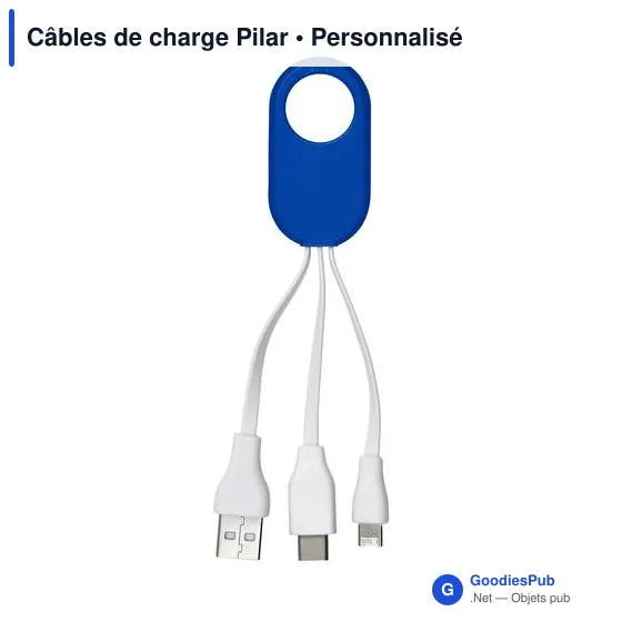 Câbles de charge Pilar - Image 1