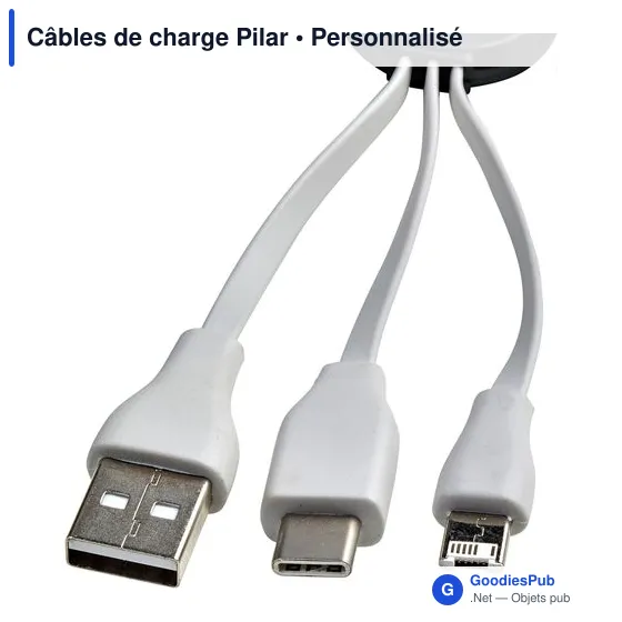 Câbles de charge Pilar - Image 12
