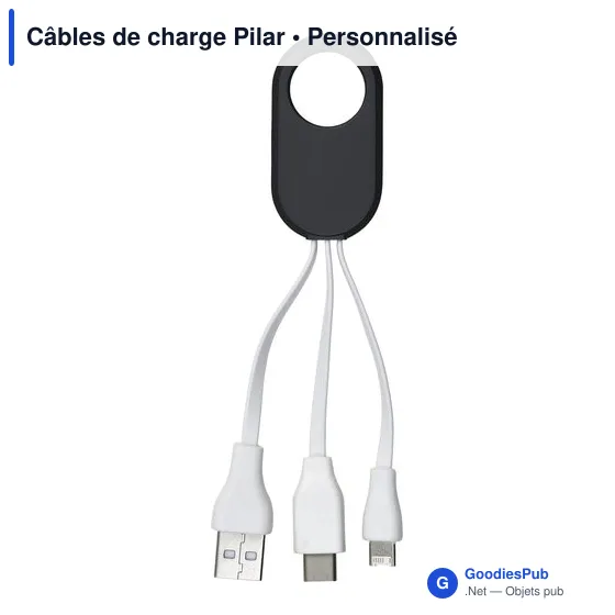 Câbles de charge Pilar - Image 8