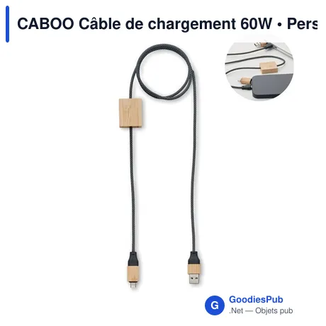 CABOO Câble de chargement 60W