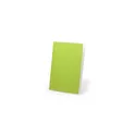 Variante vert clair - Cahier Dienel