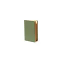 Variante vert - Cahier Rayish