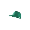 Variante vert - Casquette Bayon