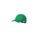 Variante vert - Casquette Daimat