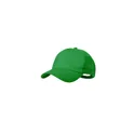 Variante vert - Casquette Gleyre