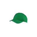 Variante vert - Casquette | Joe