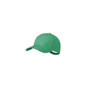 Variante vert - Casquette Oconor