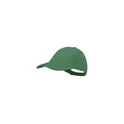 Variante vert - Casquette Rittel