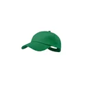 Variante vert - Casquette Sport