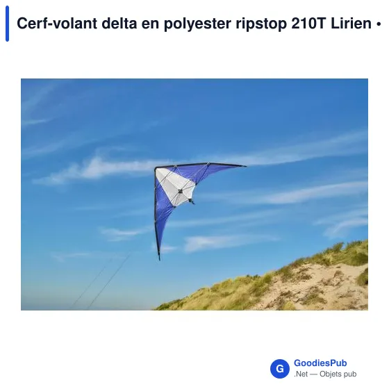 Cerf-volant delta personnalisable en polyester avec logo - Lirien - Image 11