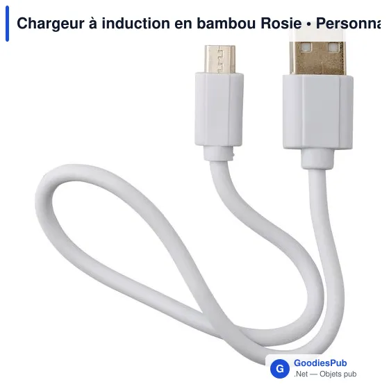 Clé USB personnalisable avec logo pour objets publicitaires - Image 5