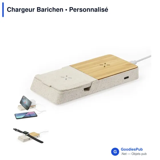 Chargeur Barichen - Image 1