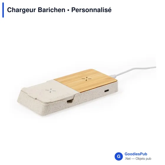 Chargeur Barichen - Image 3