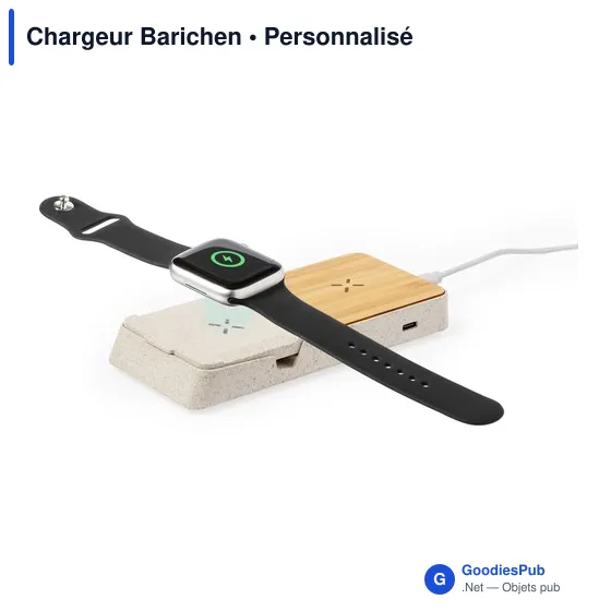 Chargeur Barichen - Image 4