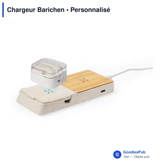 Chargeur Barichen - Image 5