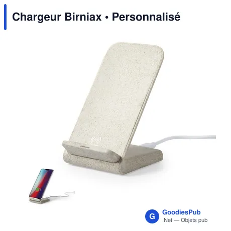 Chargeur Birniax