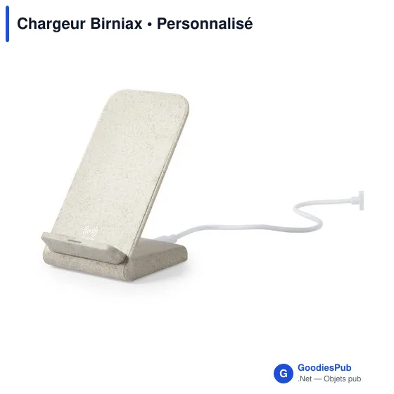 Chargeur Birniax - Image 2