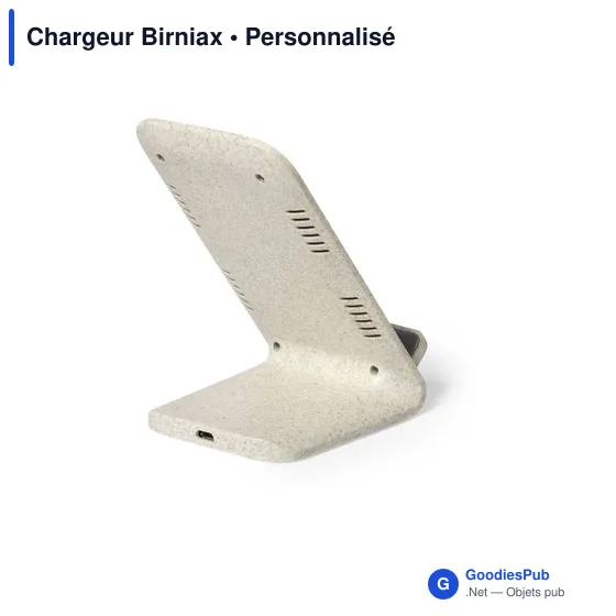 Chargeur Birniax - Image 3