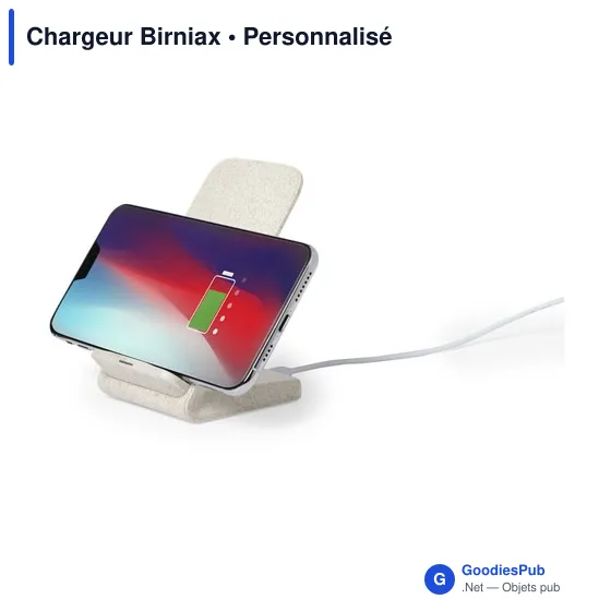 Chargeur Birniax - Image 4