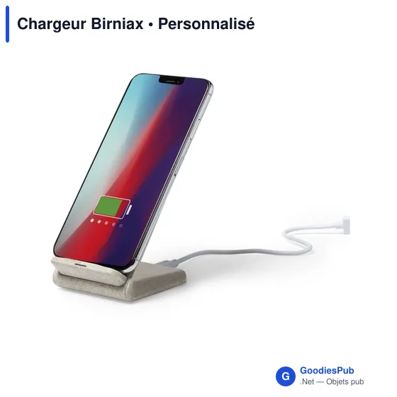 Chargeur Birniax - Image 5