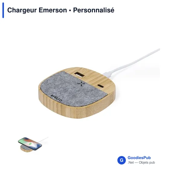 Chargeur Emerson - Image 1