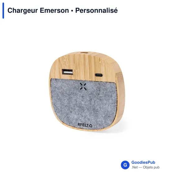 Chargeur Emerson - Image 2