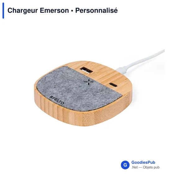 Chargeur Emerson - Image 3
