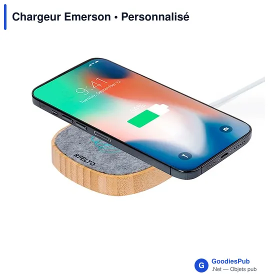 Chargeur Emerson - Image 4