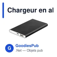 Chargeur en aluminium de 4 000mAh Ezra - Miniature 11