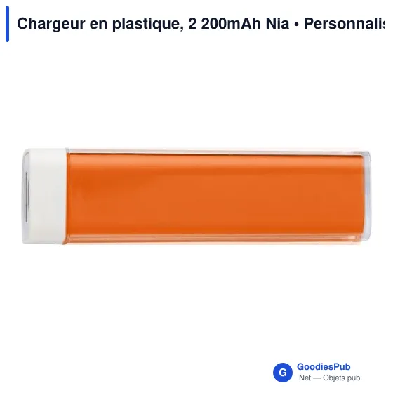 Clé USB personnalisée avec logo entreprise - Image 1