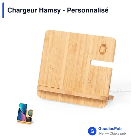 Chargeur Hamsy
