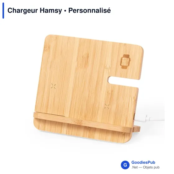 Chargeur Hamsy - Image 2