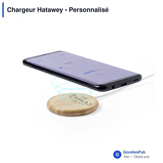 Chargeur Hatawey - Image 3
