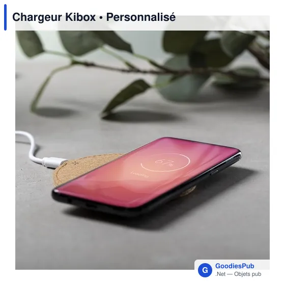 Chargeur Kibox - Image 5