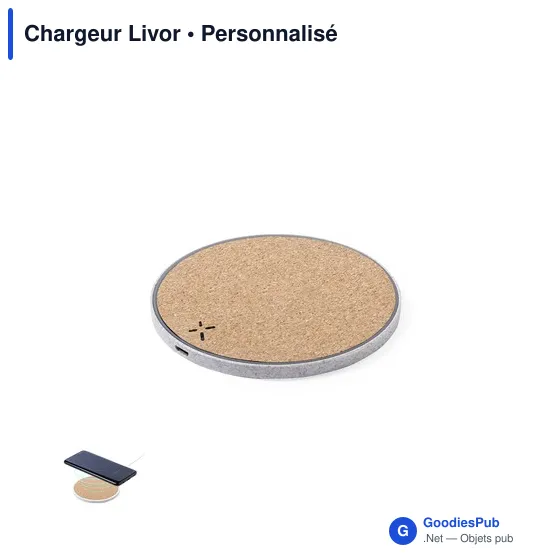 Chargeur Livor - Image 1