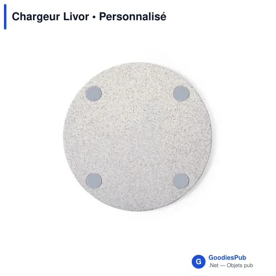 Chargeur Livor - Image 6