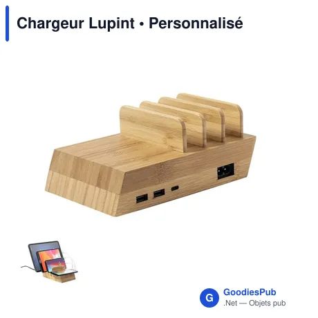 Chargeur Lupint
