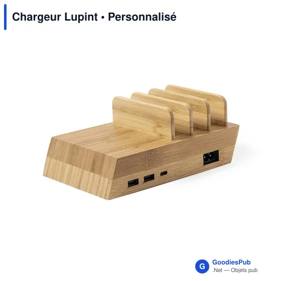 Chargeur Lupint - Image 2