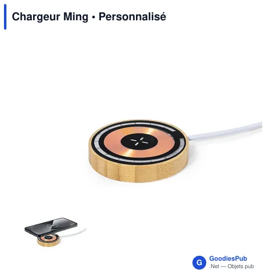 Chargeur Ming - Image 1
