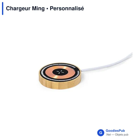 Chargeur Ming - Image 2